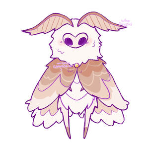 fullbody flat bug